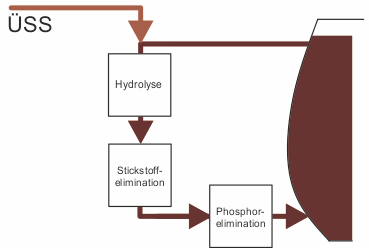 MoDiCo Stickstoff Hydrolyse Phosphate