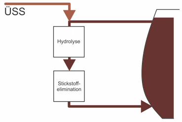 MoDiCo Sticksoffelemination mit Hydrolyse themische chemischen Zellaufschluss